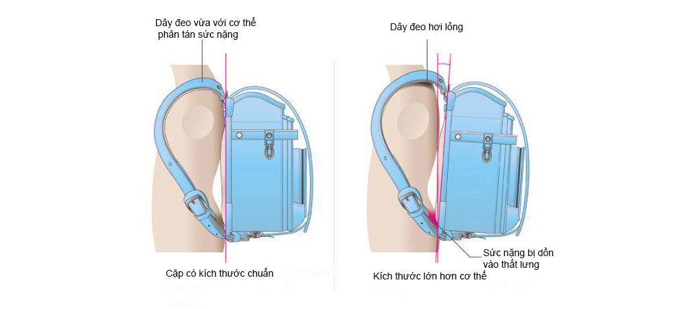 Bật mí dòng ba lô chống gù Randoseru Maisffile 24 (Hàng Nhật)  chất lượng