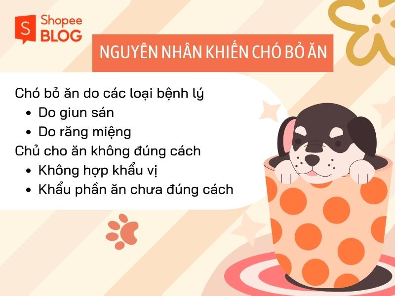 Có thể bạn không biết, Tại sao chó bỏ ăn? 