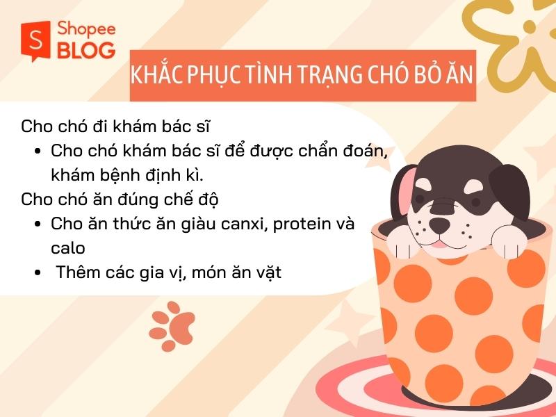 Có thể bạn không biết, Tại sao chó bỏ ăn? 