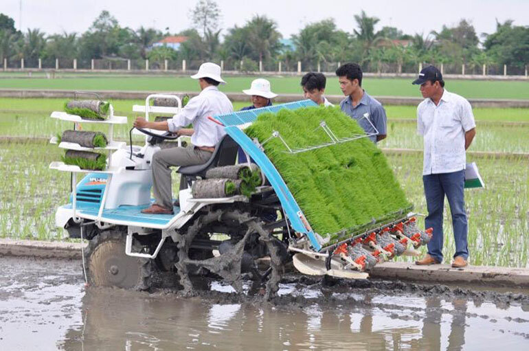 Cùng tham khảo những thương hiệu máy cấy lúa Nhật Bản tốt nhất dành cho nhà nông ngày nay