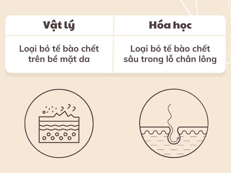 Điểm danh 7 dòng mỹ phẩm tẩy tế bào chết cho da khô tốt nhất được tin dùng