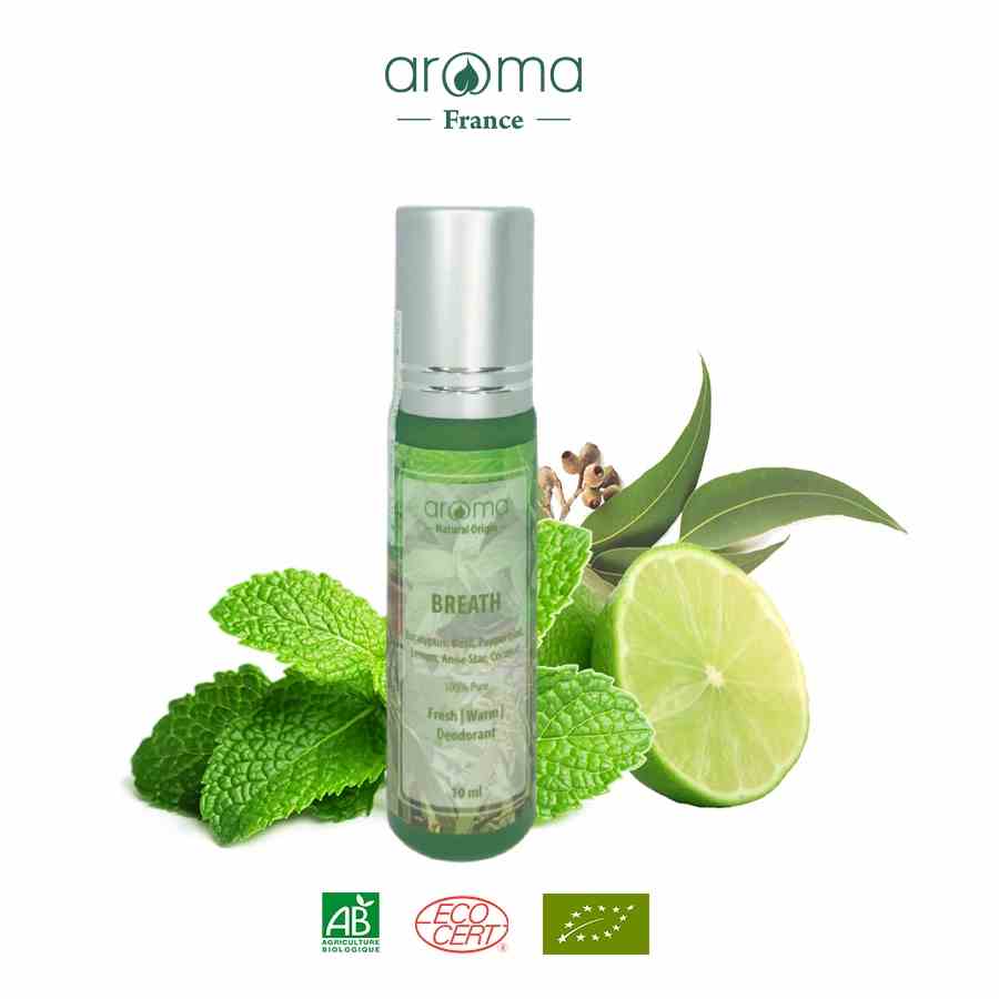 Dầu Lăn Thảo Mộc Bạc Hà Khuynh Diệp Aroma Hương Breath 10ml