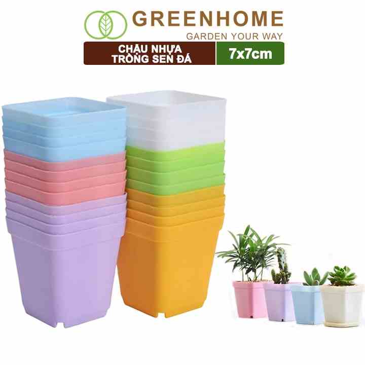 Bộ 10 Chậu nhựa trồng sen đá, 7x7cm, bền, đẹp, màu sắc hiện đại, màu ngẫu nhiên, không dĩa |Greenhome