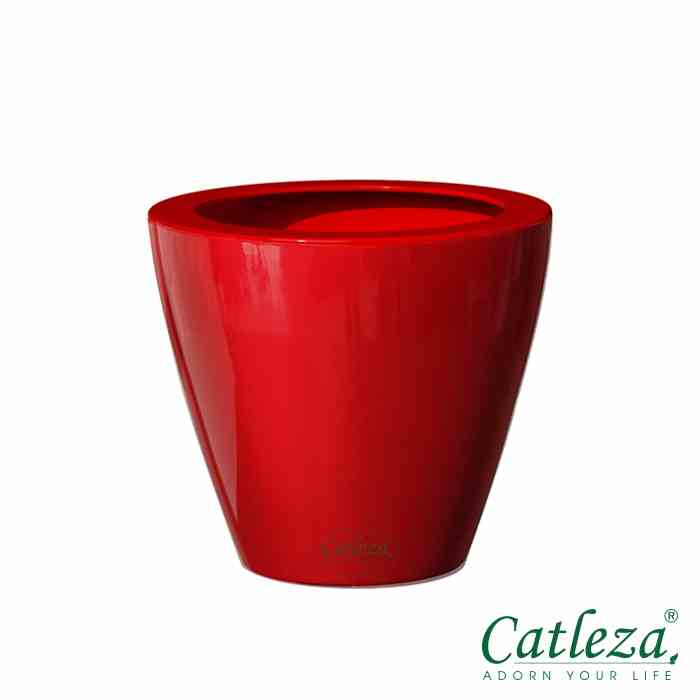 Combo 3 Chậu Nhựa Trồng Cây Thông Minh CATLEZA Sơn Tròn Bầu Không Ống Thăm Dò 14x14x12cm