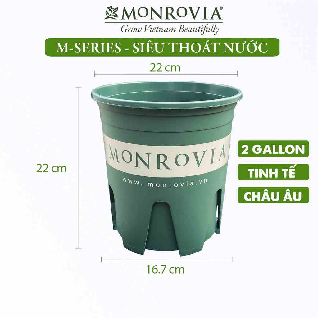 Chậu trồng cây MONROVIA 2 Gallon để bàn, ban công, ngoài trời, dòng M-series, tiêu chuẩn Châu Âu