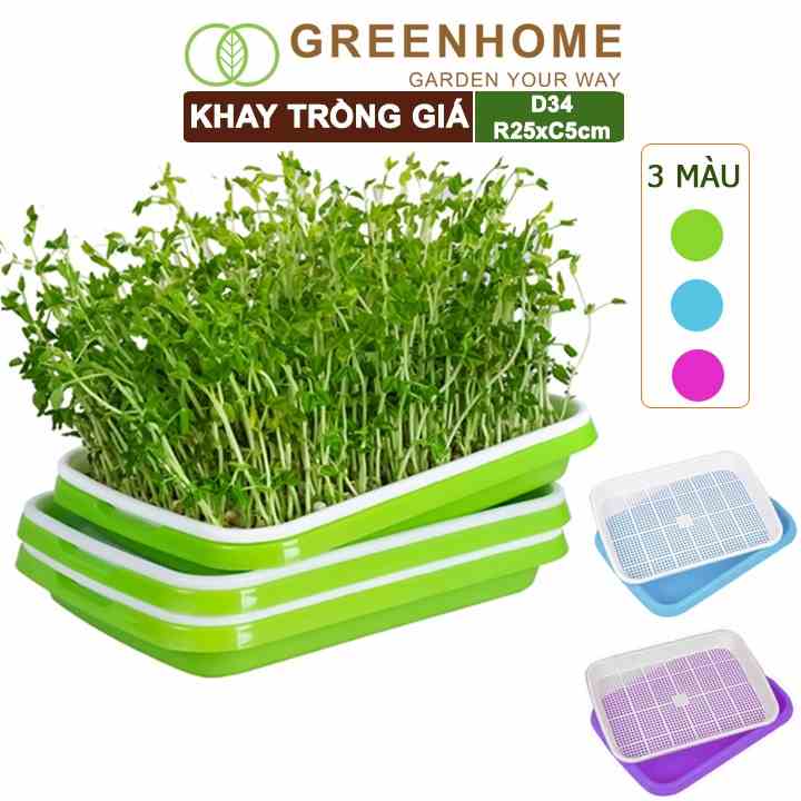 Bộ khay trồng giá, rau mầm, Greenhome, D34xR25xC5cm, nhựa nguyên sinh, an toàn, dễ trồng tại nhà, nhiều màu lựa chọn