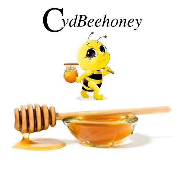 [Mã BMLTB35 giảm đến 35K đơn 99K] Que gỗ lấy mật ong CvdBeehoney kích thước dài 15cm