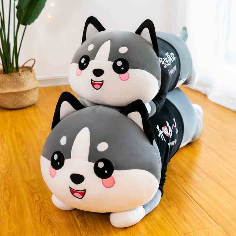 Mèo Bông Husky To Khổng Lồng Bo Decor Dễ Thương