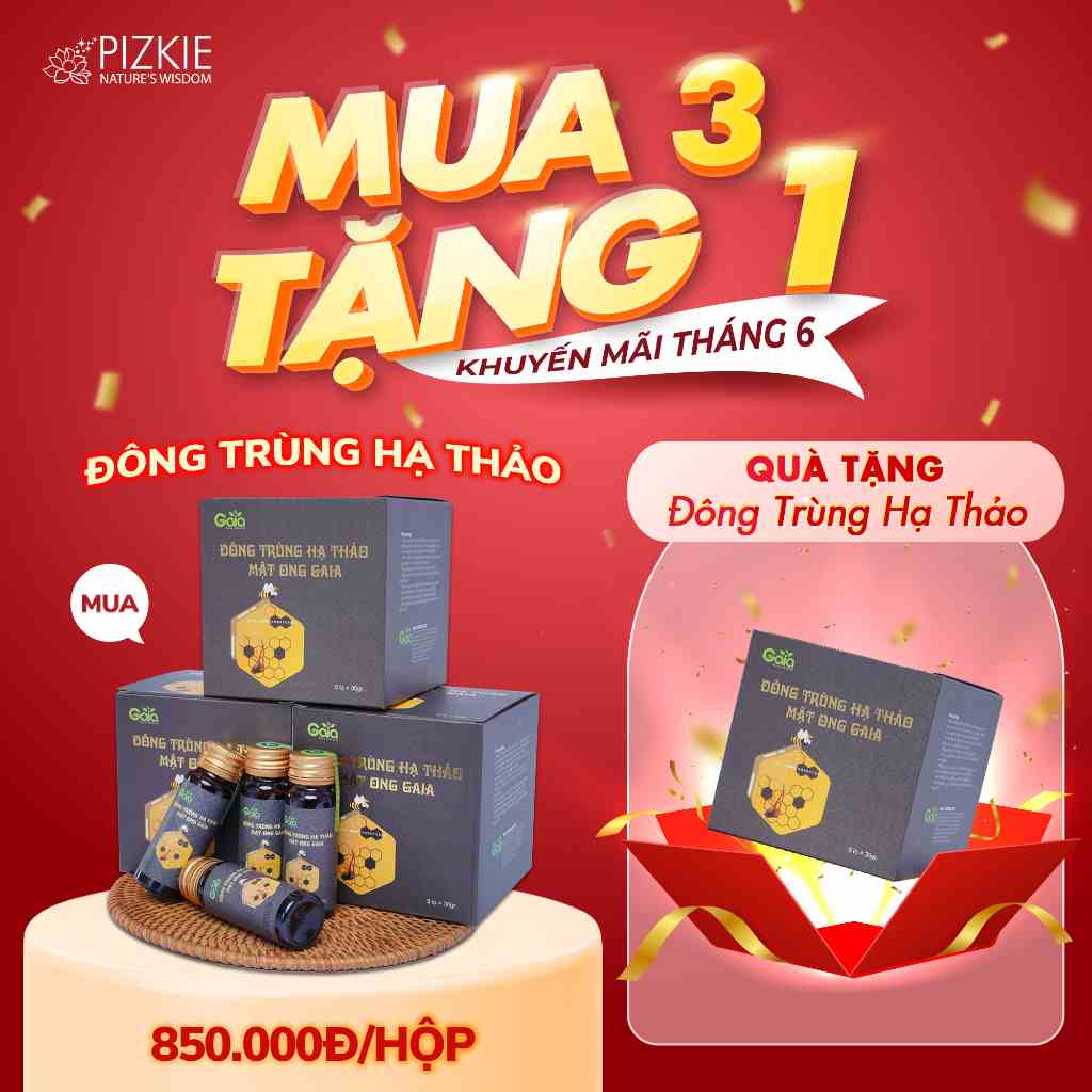 Đông Trùng Hạ Thảo Mật Ong 30gr GAIA PIZKIE - Giúp bồi bổ cơ thể, Giảm mệt mỏi, Kích thích ăn ngon và ngủ tốt