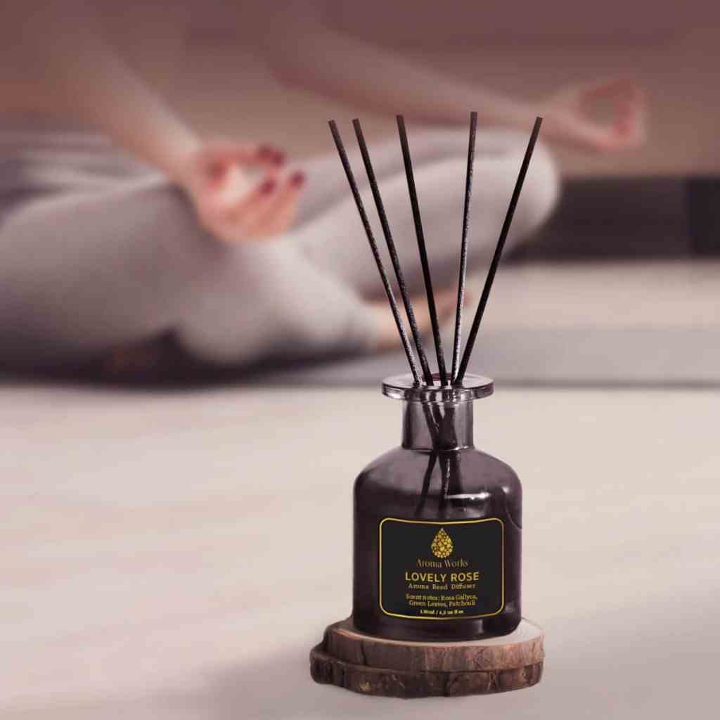 [Mã BMLTA35 giảm đến 35K đơn 99K] Tnh Dầu Tán Hương Que Mây Aroma Works Reed Diffuser