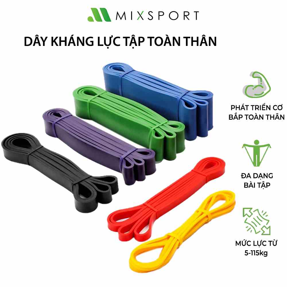 Dây Kháng Lực Tập Gym Powerband Bổ Trợ Tăng Sức Nặng Cho Các Bài Tập Toàn Thân MixSport DKL01