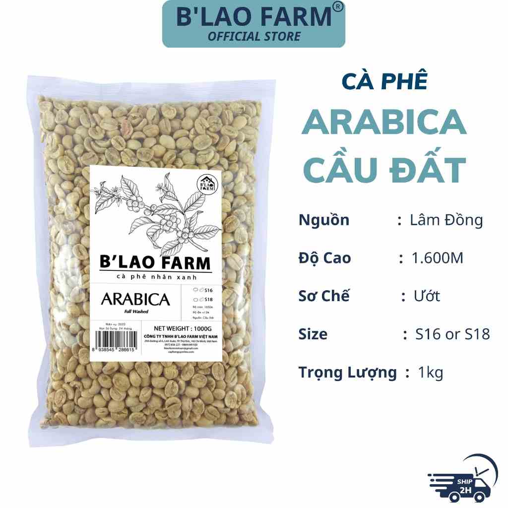 Cà phê nhân xanh ARABICA CẦU ĐẤT BLao Farm cafe chưa rang sơ chế ướt loại đặc biết tỷ lệ chín 100% túi 1kg Ãx18