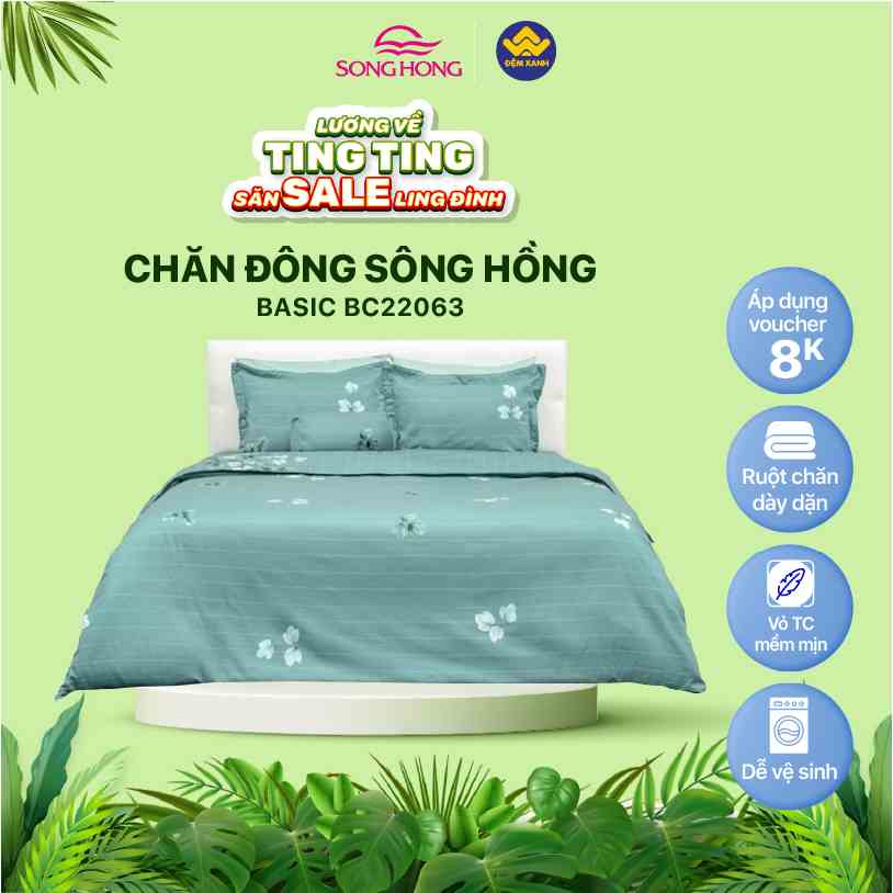 Chăn đông Sông Hồng Basic cotton BC22063