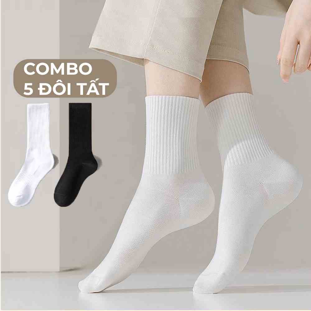 Tất nam cổ cao G2 chất cotton vớ dài nữ trơn basic co giãn bốn chiều phong cách unisex Hàn Quốc