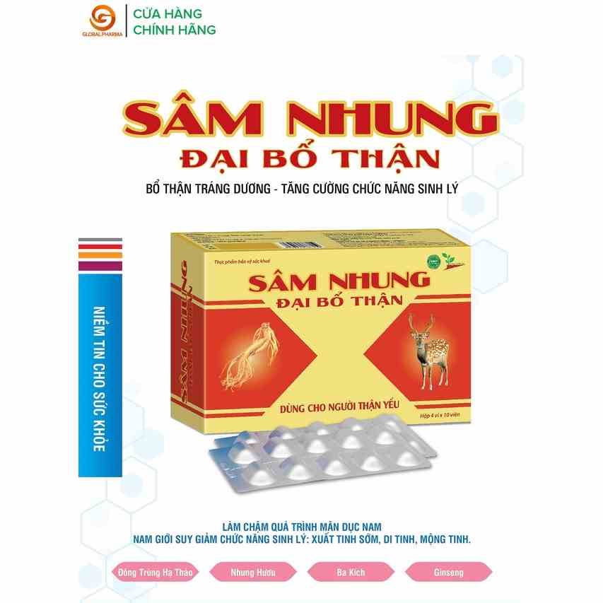 Sâm nhung đại bổ thận AN CHÂU dùng cho người thân yếu hộp 4 vỉ 40 viên - Global Pharma