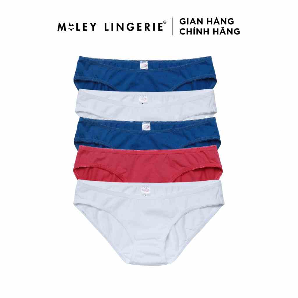 [Mã BMLTB35 giảm đến 35K đơn 99K] Combo 5 Quần Lót Cotton Viền Ren Miley Lingerie BCS00