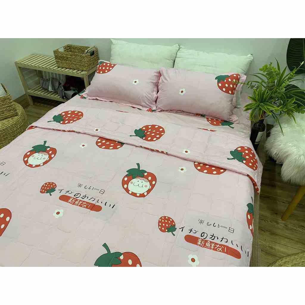 [Mã BMLTA35 giảm đến 35K đơn 99K] chăn hè cotton trần bông Emmibedding Store size 1m8x2m