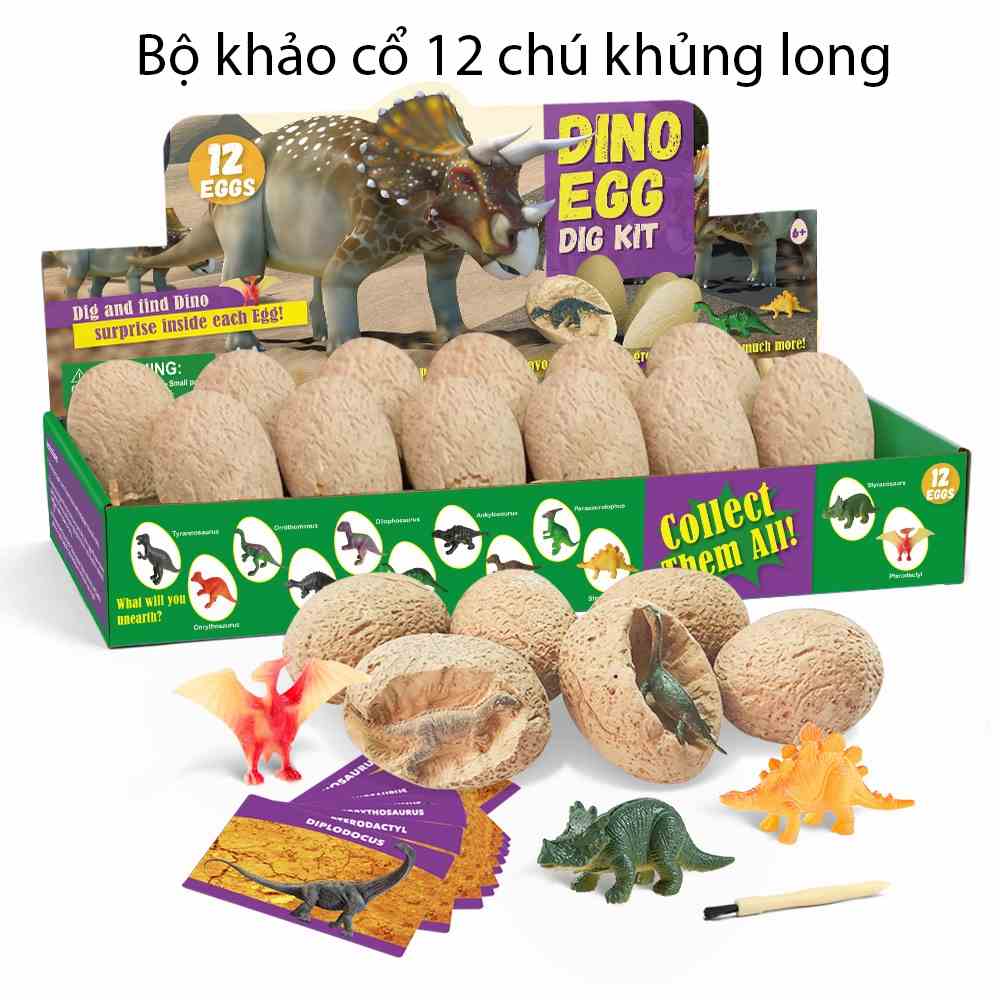 Đồ chơi khảo cổ học hóa thạch khủng long KAVY gồm 12 quả trứng 12 dụng cụ đào