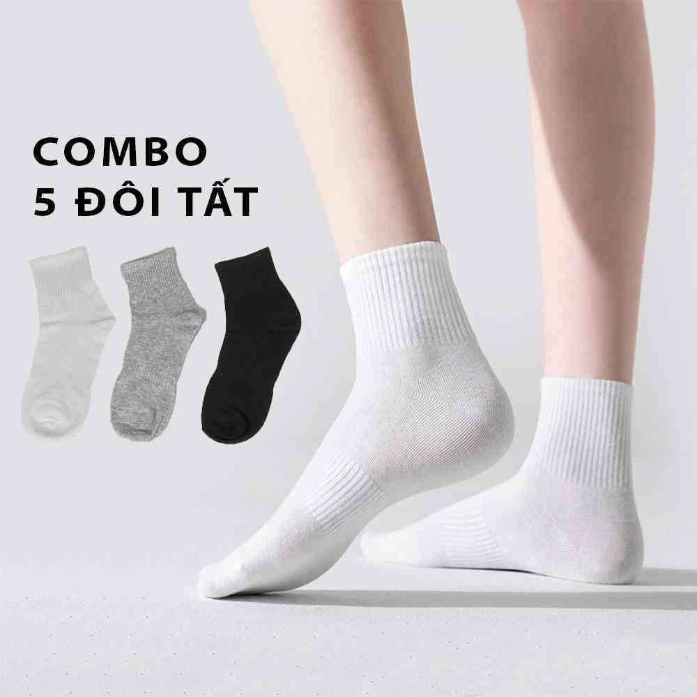 Tất nam cổ thấp G2 bằng cotton thấm hút mồ hôi co giãn tốt màu sắc basic dễ phối đồ