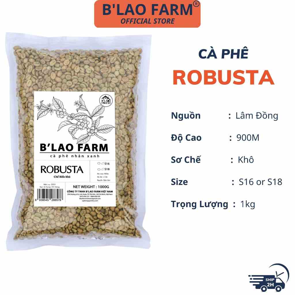 Cà phê nhân xanh ROBUSTA S18 BLao Farm cafe chưa rang sàng 18 đã được chà bóng băn màu sơ chế khô túi 1kg RX18