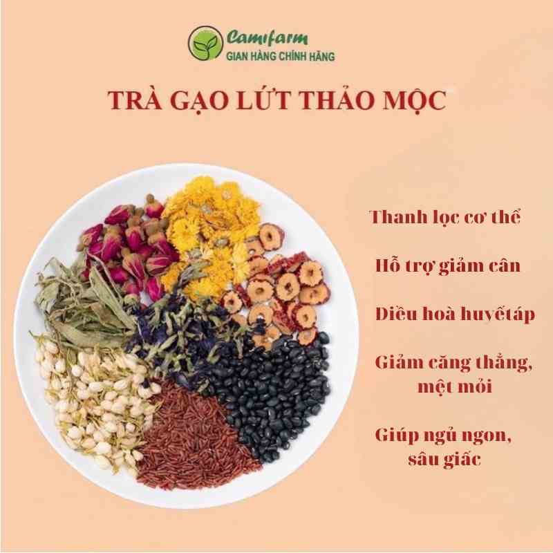 [Mã BMLTB35 giảm đến 35K đơn 99K] Trà Gạo Lứt Camifarm giúp thanh nhiệt, mát gan, hỗ trợ giảm cân