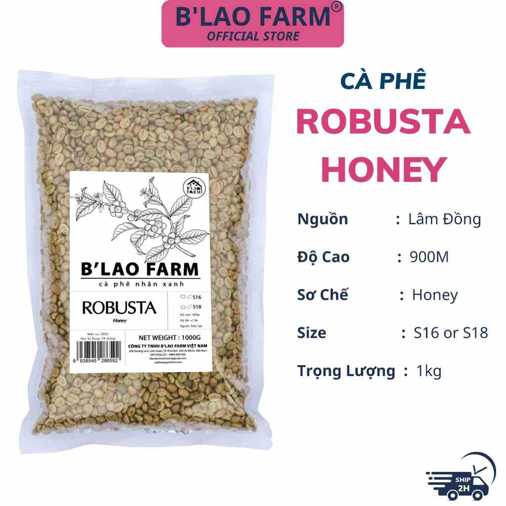 Cà phê nhân xanh ROBUSTA HONEY BLao Farm cafe chưa rang sơ chế honey cao cấp tỷ lệ chín cao túi 1kg HNX18