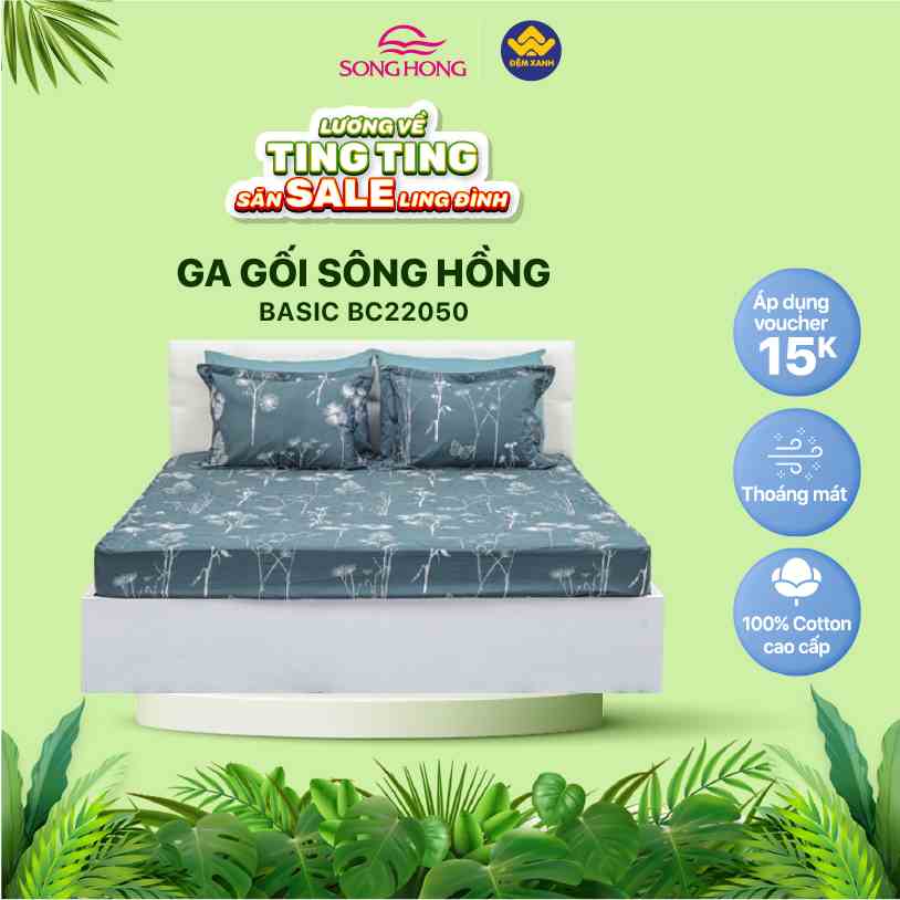 Bộ Ga gối Sông Hồng Basic cotton BC22050