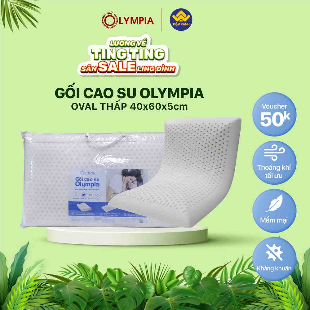 Gối cao su Olympia Oval (thấp) 40x60x5cm