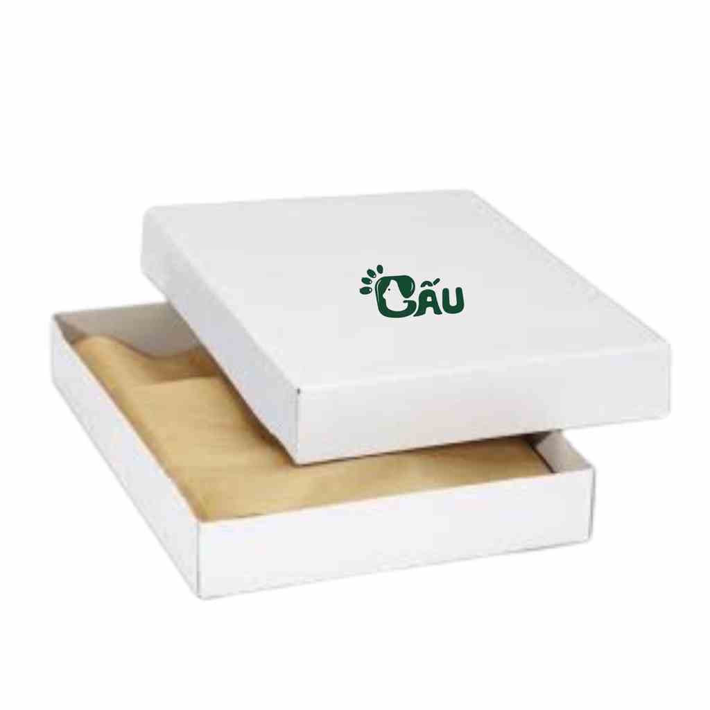 Hộp đựng quà tặng Gấu 194 cao cấp - Box