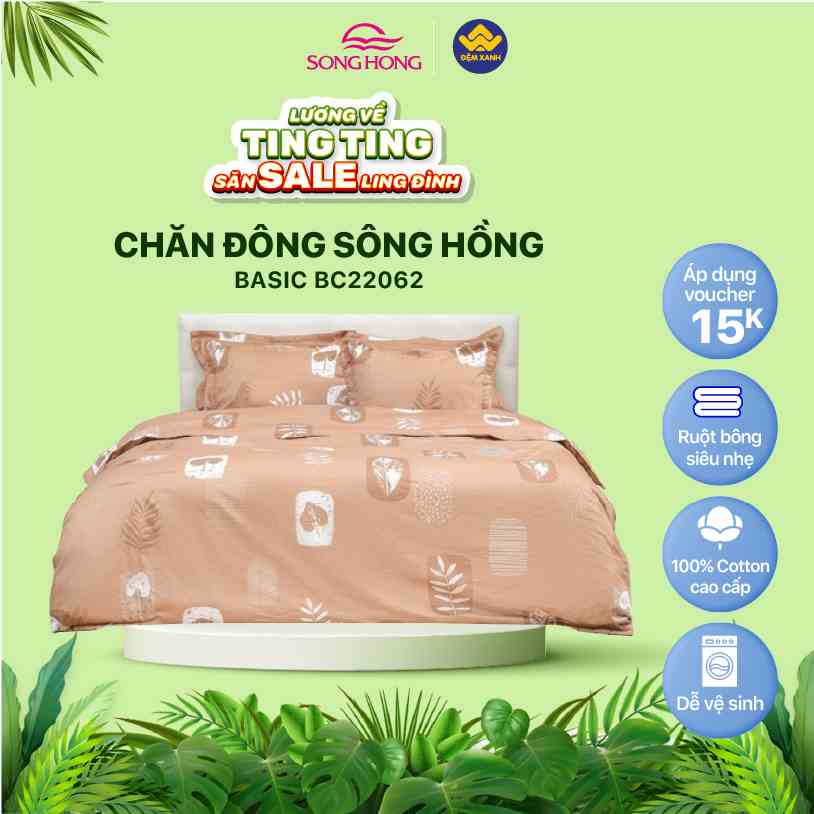 Chăn đông Sông Hồng Basic cotton BC22062