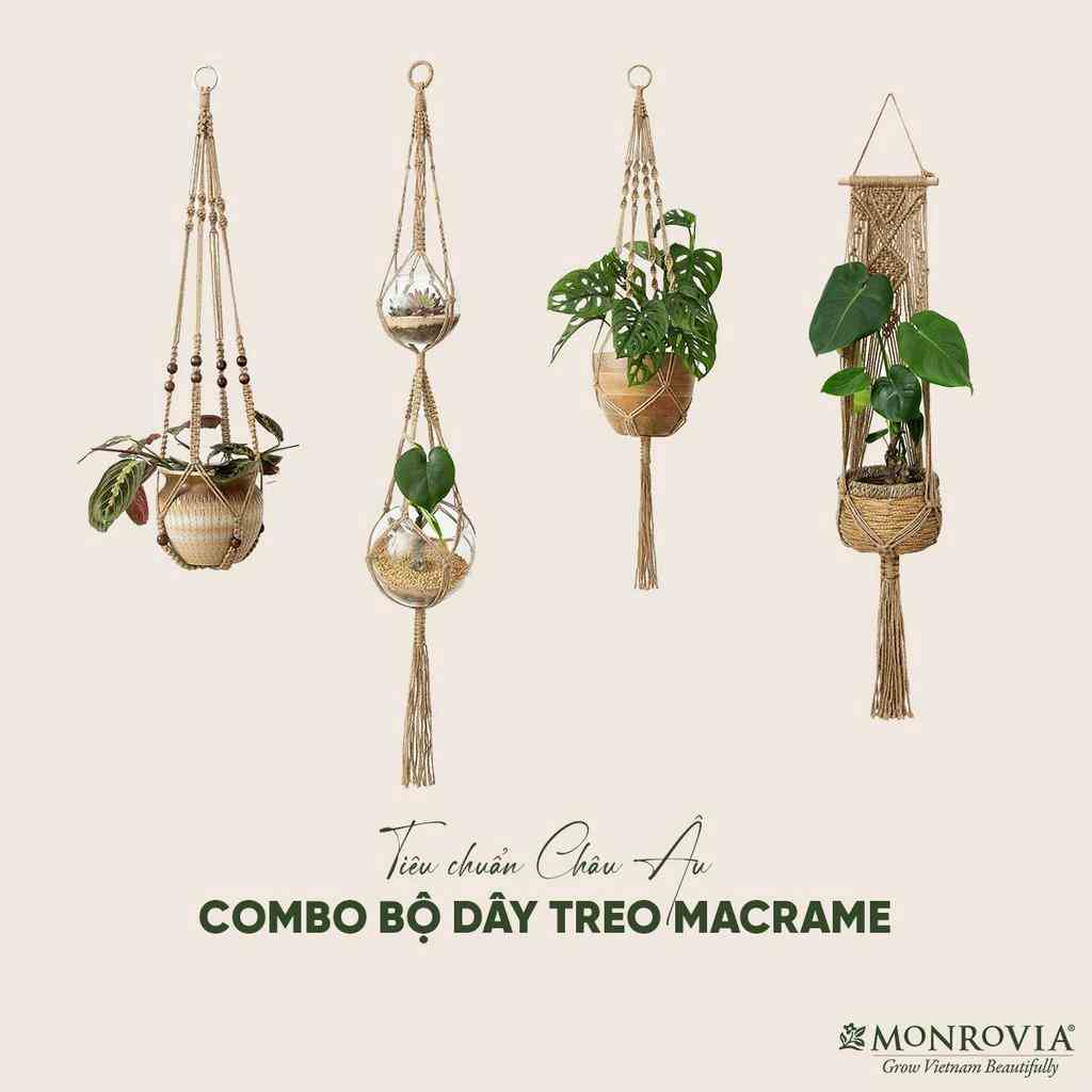 Combo 4 dây treo chậu cây Macrame MONROVIA, decor trong nhà, ban công, sang trọng, đan thủ công tỉ mỉ từ sợi cotton