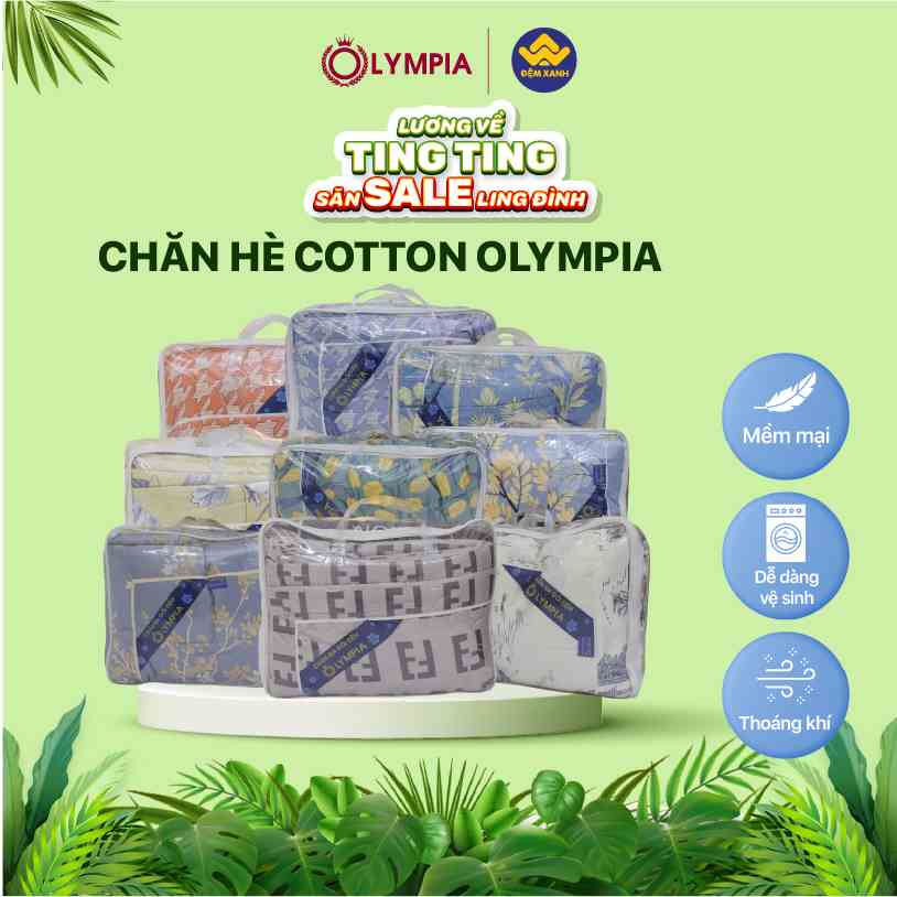 Chăn hè cotton Olympia