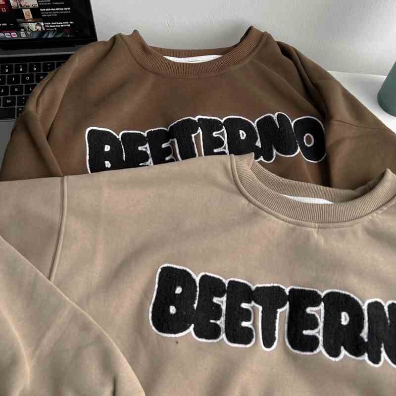 [Mã BMLTB200 giảm đến 100K đơn 499K] Áo sweater BEETERNO cao cấp AN315 by COCCACH