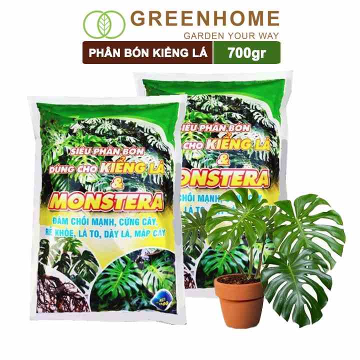 Phân bón cây kiểng lá Greenhome, bao 700gr, trầu bà Monstera, cây nội thất, giúp đâm chồi mạnh, rễ khoẻ, lá t0