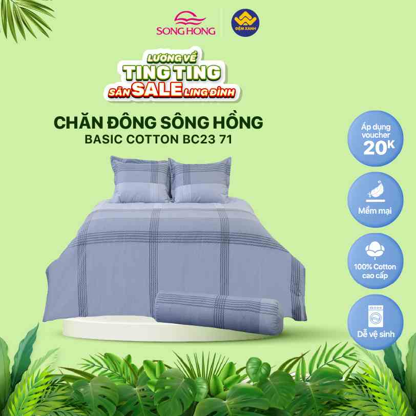 Chăn đông Sông Hồng Basic cotton mẫu mới 2023-2024