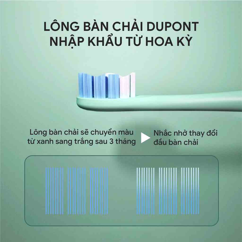 Đầu thay Bàn chải điện Mj K5118