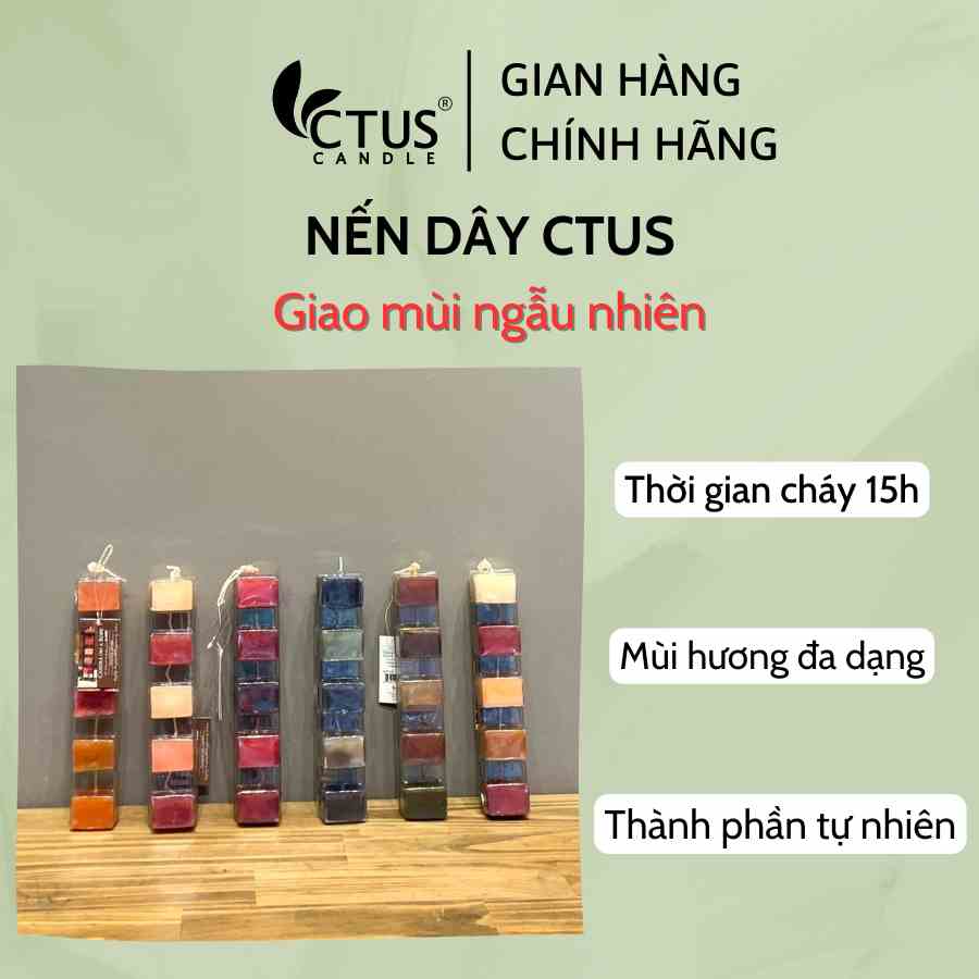 Nến dây Ctus Candle 5 ô màu xinh xắn giao mùi ngẫu nhiên