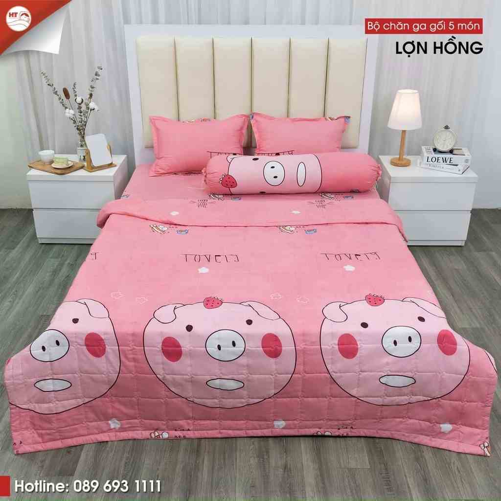 Bộ Ga Gối Kèm Chăn Hè Chần Bông 5 Món HIN BEDDING Chất Vải Cotton Poly Đủ Kích Thước Không Bai Xù