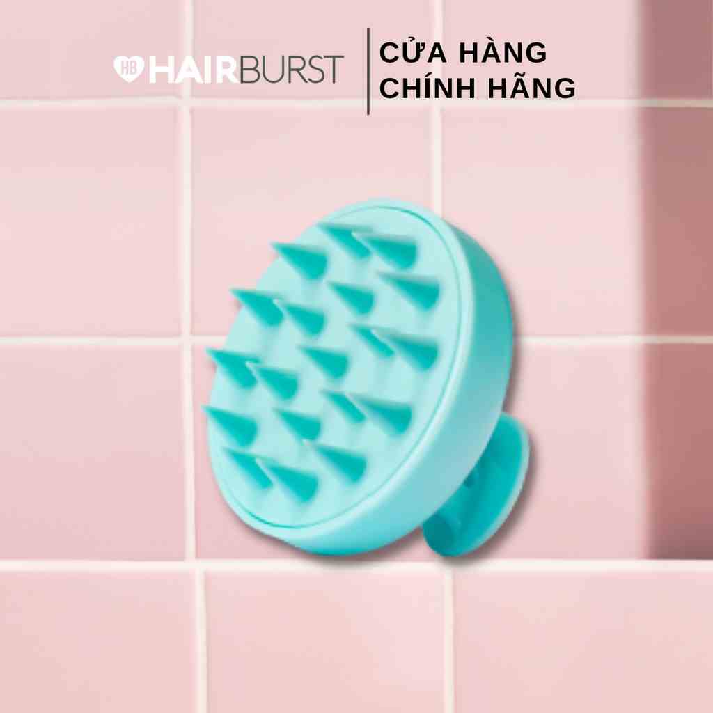 [HB GIFT] Lược gội đầu và massage da đầu kích thích mọc tóc Hairburst