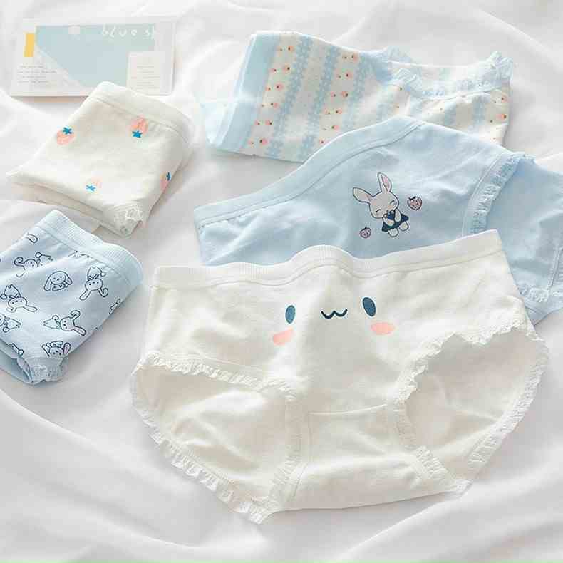 [Mã ICBFRI15 giảm 10% đơn 0đ] Combo 5 Quần Lót Nữ Cotton DUDIA Viền Ren (Freesize 40-57kg) [N01-5]