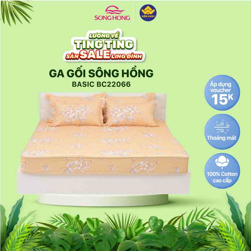 Bộ ga gối Sông Hồng Basic cotton BC22066