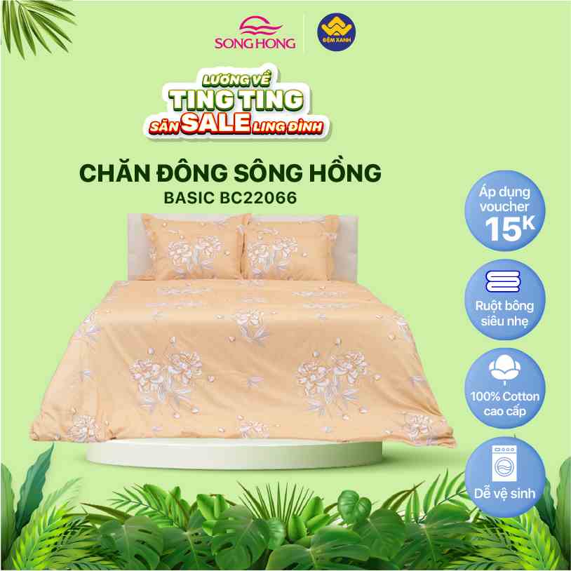 Chăn đông Sông Hồng Basic cotton BC22066