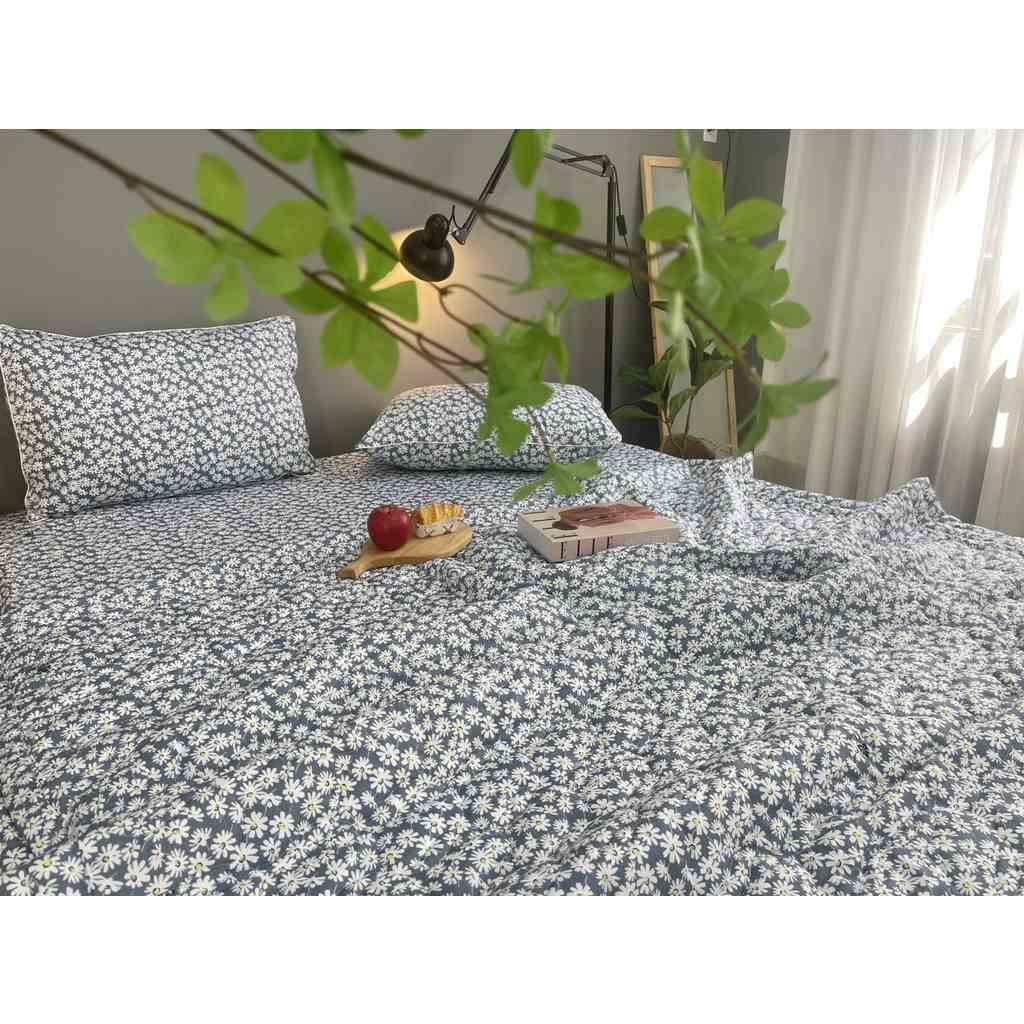 [Mã BMLTA35 giảm đến 35K đơn 99K] Bộ drap gối KHA LY - cotton thiên nhiên - Cúc Họa Mi Xám Nhạt - VN322