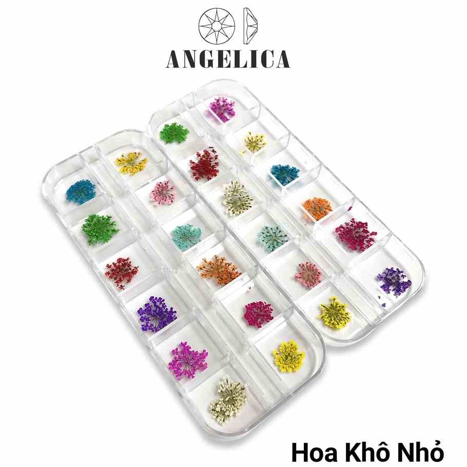 Set Hoa Khô Nhí Nails Ẩn Móng ANGELICA SHKN 10 Màu