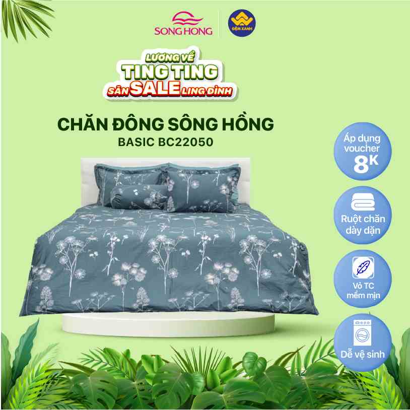 Chăn đông Sông Hồng Basic cotton BC22050