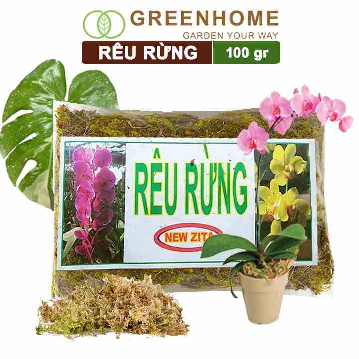 Rêu rừng đã qua xử lý newzita Greenhome, bao 100gr, đã qua xử lý, giữ ẩm tốt, chuyên phong lan, kiểng lá