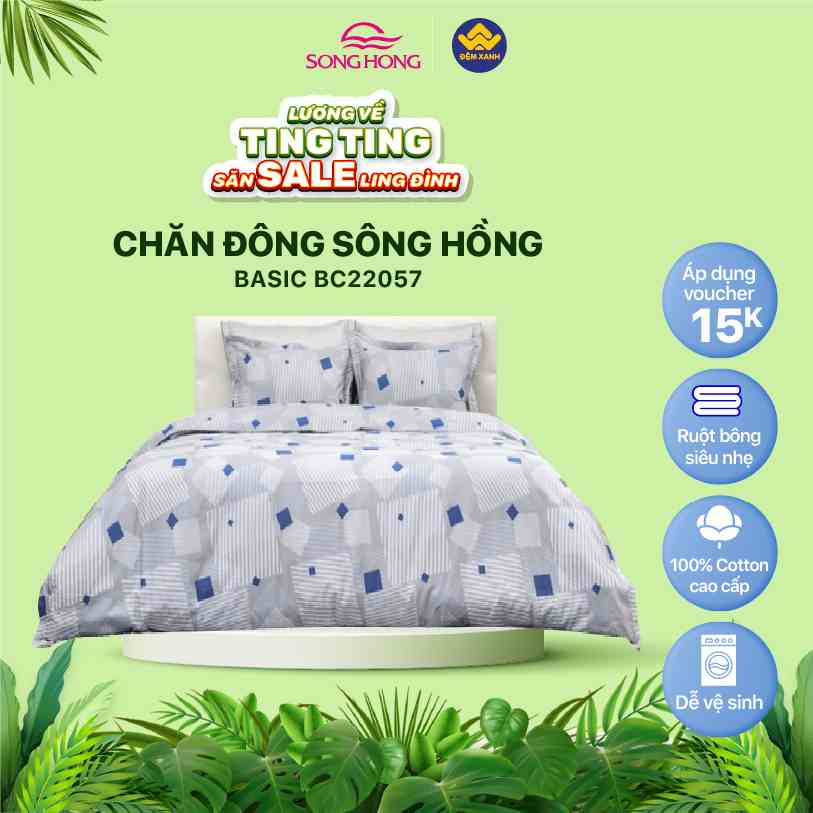 Chăn đông Sông Hồng Basic cotton BC22057