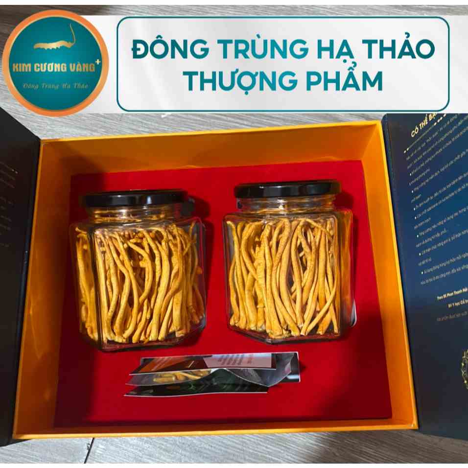 Đông Trùng Hạ Thảo Kim Cương Vàng Loại Thượng Phẩm (Hộp 32g)