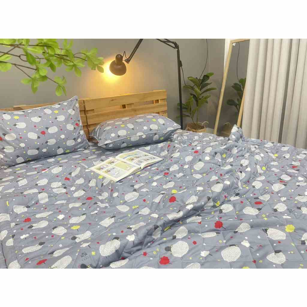 [Mã BMLTB35 giảm đến 35K đơn 99K] Bộ drap gối KHA LY - cotton thiên nhiên - Cừu Xám - VN310