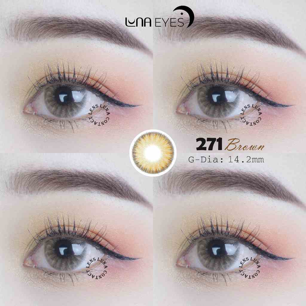 Kính áp tròng LUNA EYES 271 BROWN (FB-253) - Lens size vừa